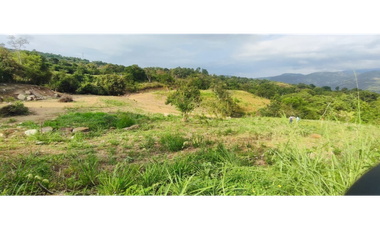 Venta de lote de 2420 M2 en 195 mill en La Mesa Cund, COL