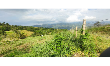 Venta de lote de 2420 M2 en 195 mill en La Mesa Cund, COL