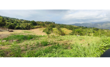 Venta de lote de 2420 M2 en 195 mill en La Mesa Cund, COL