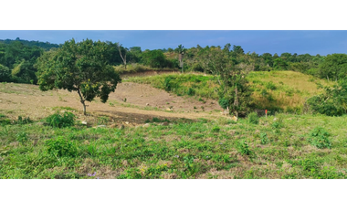 Venta de lote de 2420 M2 en 195 mill en La Mesa Cund, COL