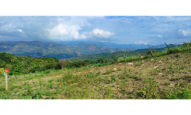 Venta de lote de 2420 M2 en 195 mill en La Mesa Cund, COL