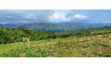 Venta de lote de 2420 M2 en 195 mill en La Mesa Cund, COL