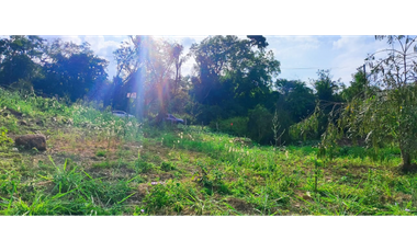 Venta de lote de 2420 M2 en 195 mill en La Mesa Cund, COL