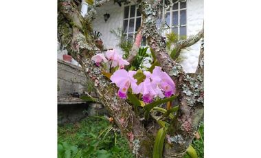 Venta de casalote de 1600 M2 en 379 mill en Tena Cund COL