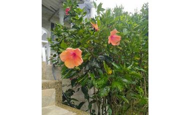 Venta de casalote de 1600 M2 en 379 mill en Tena Cund COL