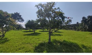 Hermoso lote de 1600 M2 en 240 millones en La Mesa Cund, COL.