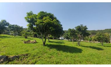 Hermoso lote de 1600 M2 en 240 millones en La Mesa Cund, COL.