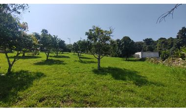 Hermoso lote de 1600 M2 en 240 millones en La Mesa Cund, COL.