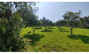 Hermoso lote de 1600 M2 en 240 millones en La Mesa Cund, COL.