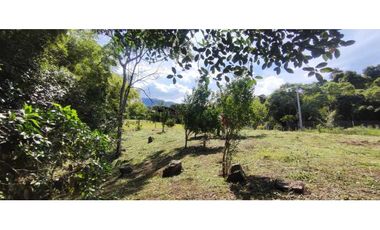 Venta de lote de 1500 M2 en 259 mill en La Gran Via de Tena Cund plano