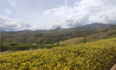 Lote de 1500 M2 en 160 mill en La Mesa Cund, a 12 del parque principa