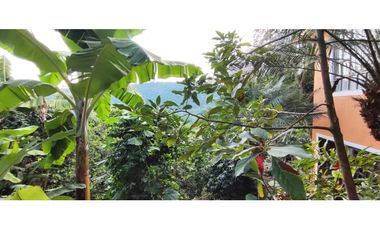 Venta de casalote de 1293 M2 en 280 millones en La Mesa Cund, COL