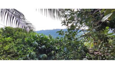 Venta de casalote de 1293 M2 en 280 millones en La Mesa Cund, COL