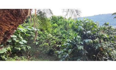 Venta de casalote de 1293 M2 en 280 millones en La Mesa Cund, COL