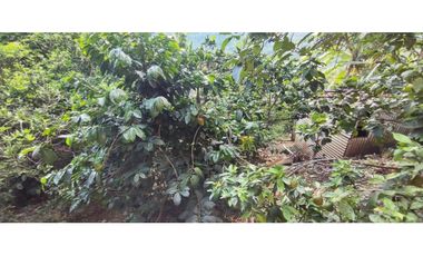 Venta de casalote de 1293 M2 en 280 millones en La Mesa Cund, COL