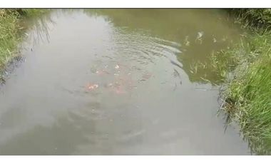 Venta de casalote de 1350 M2 en 399 millones en La Mesa Cund