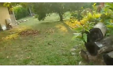 Venta de casalote de 1350 M2 en 399 millones en La Mesa Cund