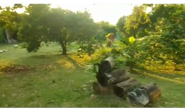 Venta de casalote de 1350 M2 en 399 millones en La Mesa Cund