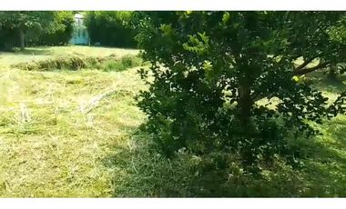 Venta de casalote de 1350 M2 en 399 millones en La Mesa Cund