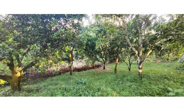 OPORTUNIDAD DE LOTE DE 1000 M2 EN 128 MILL EN LA MESA CUND