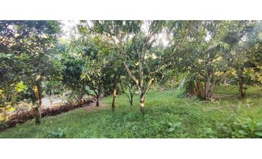 OPORTUNIDAD DE LOTE DE 1000 M2 EN 128 MILL EN LA MESA CUND