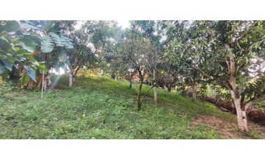 OPORTUNIDAD DE LOTE DE 1000 M2 EN 128 MILL EN LA MESA CUND