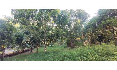 OPORTUNIDAD DE LOTE DE 1000 M2 EN 128 MILL EN LA MESA CUND