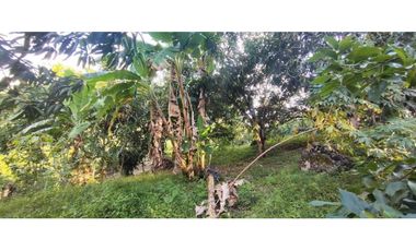 OPORTUNIDAD DE LOTE DE 1000 M2 EN 128 MILL EN LA MESA CUND