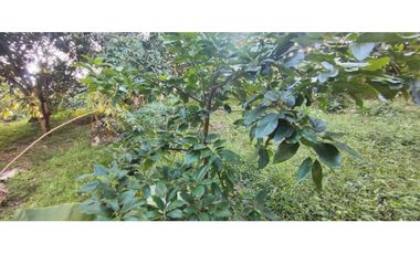 OPORTUNIDAD DE LOTE DE 1000 M2 EN 128 MILL EN LA MESA CUND