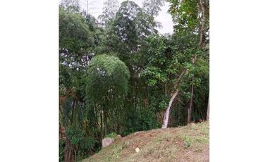 Venta de lote de 2110 M2 en 120 mill en La Mesa Cund