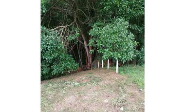 Venta de lote de 2110 M2 en 120 mill en La Mesa Cund