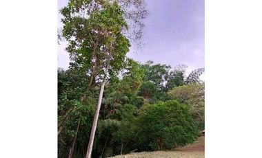 Venta de lote de 2110 M2 en 120 mill en La Mesa Cund