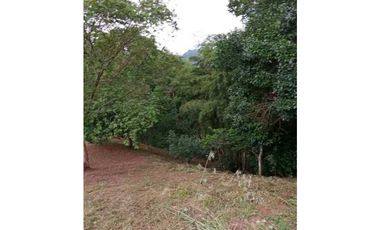 Venta de lote de 2110 M2 en 120 mill en La Mesa Cund
