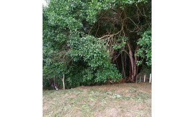 Venta de lote de 2110 M2 en 120 mill en La Mesa Cund