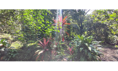 Venta de lote de 1940 M2 en 145 mill en La Mesa Cund