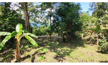 Venta de lote de 1940 M2 en 145 mill en La Mesa Cund