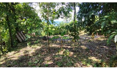 Venta de lote de 1940 M2 en 145 mill en La Mesa Cund