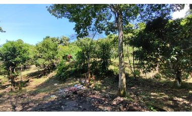 Venta de lote de 1940 M2 en 145 mill en La Mesa Cund