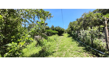 Venta de lote de 1940 M2 en 145 mill en La Mesa Cund