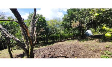 Venta de lote de 1940 M2 en 145 mill en La Mesa Cund