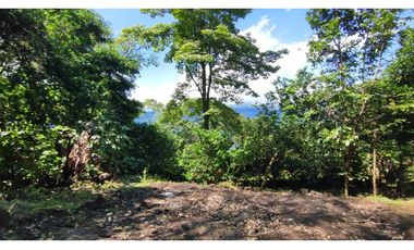 Venta de lote de 1940 M2 en 145 mill en La Mesa Cund