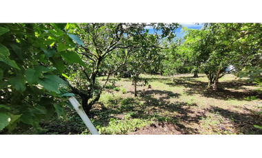 Venta de lote de 1940 M2 en 145 mill en La Mesa Cund