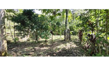 Venta de lote de 1940 M2 en 145 mill en La Mesa Cund