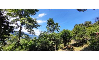 Venta de lote de 1940 M2 en 145 mill en La Mesa Cund