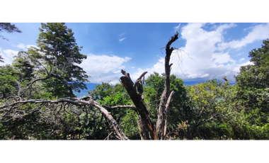 Venta de lote de 1940 M2 en 145 mill en La Mesa Cund