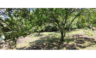 Venta de lote de 1940 M2 en 145 mill en La Mesa Cund