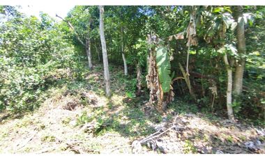 Venta de lote de 1940 M2 en 145 mill en La Mesa Cund