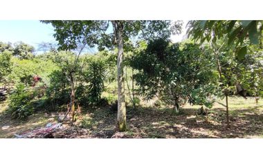 Venta de lote de 1940 M2 en 145 mill en La Mesa Cund