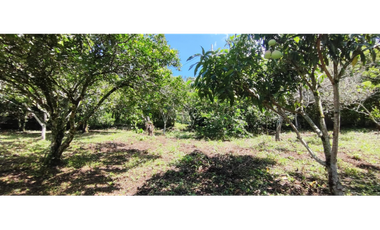 Venta de lote de 1940 M2 en 145 mill en La Mesa Cund