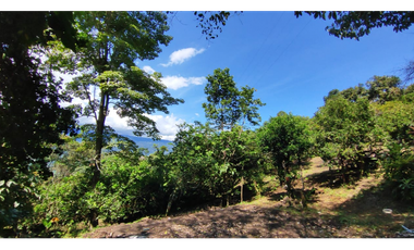 Venta de lote de 1940 M2 en 145 mill en La Mesa Cund